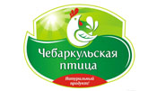 Чебаркульская птица